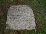 image of grave number 387356